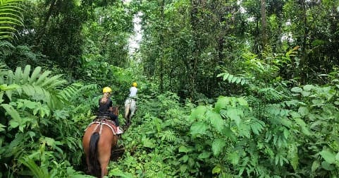 Horseback Riding